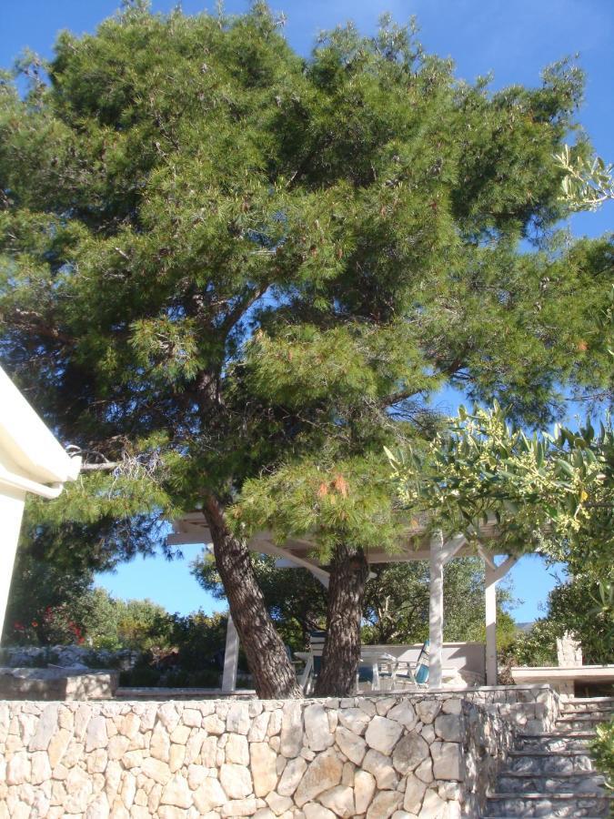 Beach House Blue Lagoon Okrug Gornji Bagian luar foto
